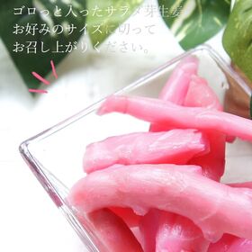 【240g】サラダ芽生姜