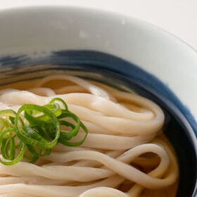 ＜シンプル百科＞【6食/極太麺】讃岐の生うどん6食（つけかけ兼用つゆ付き）極太麺