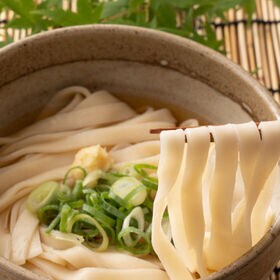 ＜シンプル百科＞【6食/平切麺】讃岐の生うどん6食（つけかけ兼用つゆ付き）平切麺