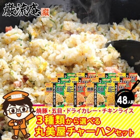 【4種/48袋】丸美屋 チャーハンの素(チャーハン・チキンラ...