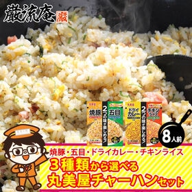 【2種/8袋】丸美屋 チャーハンの素(チャーハン・チキンライ...