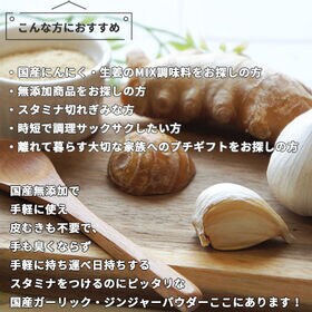【20g】にんにく生姜MIXパウダー