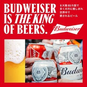 ABインベブ バドワイザー 瓶 330ml×24本