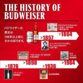 ABインベブ バドワイザー 缶 500ml×24本
