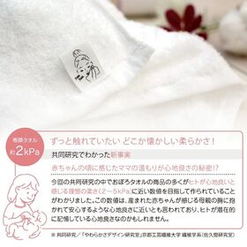 【ライトグレー・2枚セット】専顔タオル