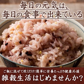 【800g(400g×2袋)】国産 栄養満点23穀米(チャック付き)