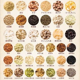 【400g(400g×1袋)】明日への輝き39穀米ブレンド(チャック付き)