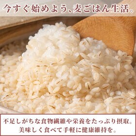 【400g(400g×1袋)】国産胚芽押麦 (雑穀米・チャック付き)