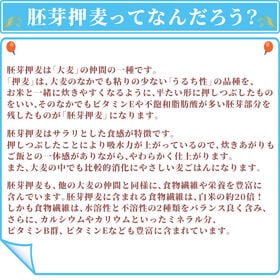 【2.4kg(400g×6袋)】国産胚芽押麦 (雑穀米・チャック付き)