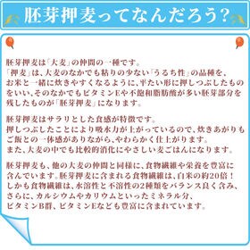 【8kg(400g×20袋)】国産胚芽押麦 (雑穀米・チャック付き)