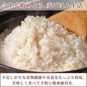 【24kg(400g×60袋)】国産丸麦 (雑穀米・チャック付き)