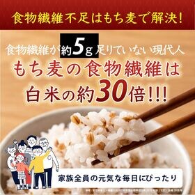 【800g(400g×2袋)】国産もち麦(ダイシモチ) (雑穀米・チャック付き)