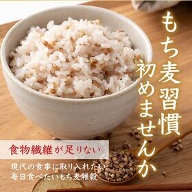 【24kg(400g×60袋)】国産もち麦(ダイシモチ) (雑穀米・チャック付き)