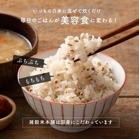 【400g(400g×1袋)】国産はと麦