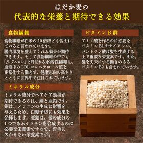 【400g(400g×1袋)】国産 はだか麦 (雑穀米・チャック付き)