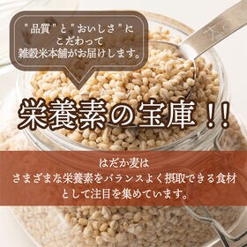 【2.4kg(400g×6袋)】国産 はだか麦 (雑穀米・チャック付き)
