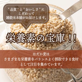 【4kg(400g×10袋)】国産 はだか麦 (雑穀米・チャック付き)