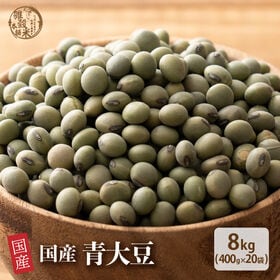 【8kg(400g×20袋)】国産 青大豆