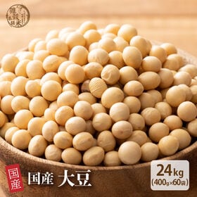 【24kg(400g×60袋)】国産 黄大豆