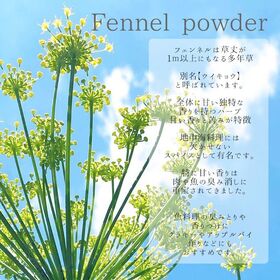 【20g】フェンネルパウダー