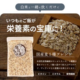 【4kg(400g×10袋)】国産麦5種 (雑穀米・チャック付き)