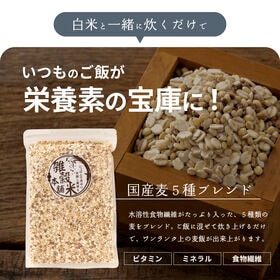 【8kg(400g×20袋)】国産麦5種 (雑穀米・チャック付き)