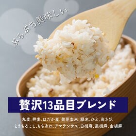 【4kg(400g×10袋)】健康重視 ヘルシーブレンド (チャック付き)