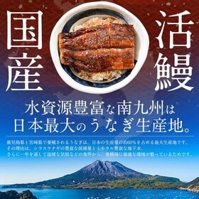 【200g前後×1尾】国産 特大サイズ 鰻 うなぎ蒲焼き