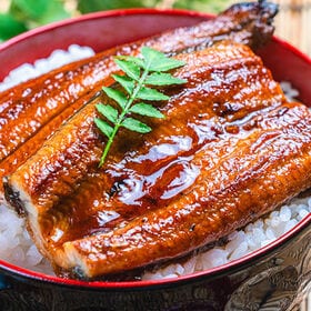 【特大200g×1尾】鹿児島大隅半島産 備長炭手焼き うなぎ蒲焼 (タレ付き)