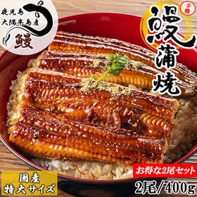 【特大200g×2尾】鹿児島大隅半島産 備長炭手焼き うなぎ...