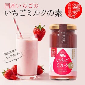 【200g×12本】宮城県産 いちごミルクの素