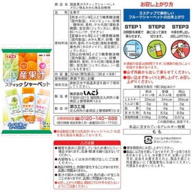 【計18本/6種×各3本】しんこう スティックシャーベット6種アソート