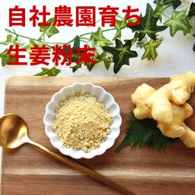 【20g×2袋】国産生姜粉末
