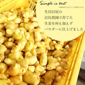 【20g×2袋】国産生姜粉末