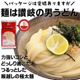 【約9人前】本場の讃岐うどん (300gx3袋)