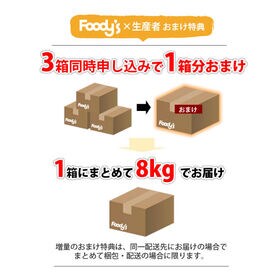【予約受付】10/2~順次出荷【2kg(2S-L)】熊本県産 レモン 国産レモン