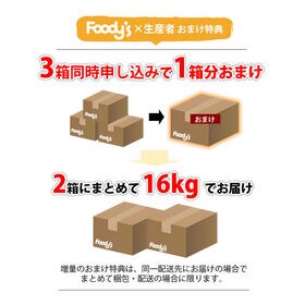 【予約受付】10/2~順次出荷【4kg(2S-L)】熊本県産 レモン 国産レモン