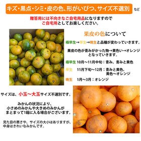 【予約受付】10/3~順次出荷【箱込約5kg】熊本みかん  (ご家庭用・傷あり)