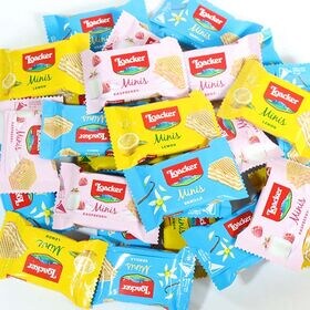 【26コ】コストコお試し版 ロアカー ミニーズ スプリング・サマーミックス