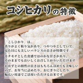 【10kg】匠の一粒 コシヒカリ(精白米) 国産
