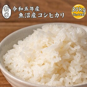 30kg(5kg×6袋)】魚沼産 コシヒカリ (精白米) 国産 令和6年産を