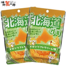 【40g(4g×10粒)×2袋】北海道グミ メロンソフトクリ...