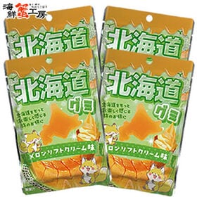 【40g(4g×10粒)×4袋】北海道グミ メロンソフトクリ...
