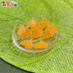 【40g(4g×10粒)×4袋】北海道グミ メロンソフトクリーム味