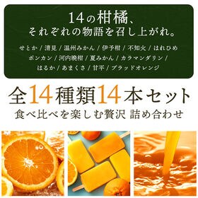 【14本入】果汁100%高級贅沢愛媛みかんのアイス