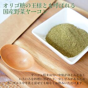 【40g】国産ヤーコン粉末 野菜 国産