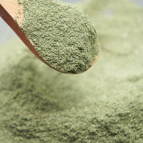 【40g】国産ヤーコン粉末 野菜 国産