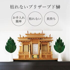 国産　枯れないプリザーブド榊
