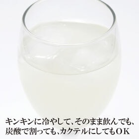 【160g×20本】宮崎日向夏ドリンク＋宮崎レモン