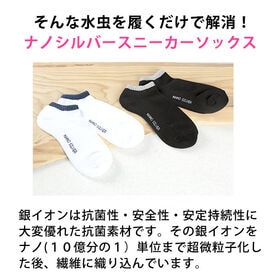 【婦人用/2色組×3セット】強力殺菌・消臭　ナノシルバースニーカーソックス